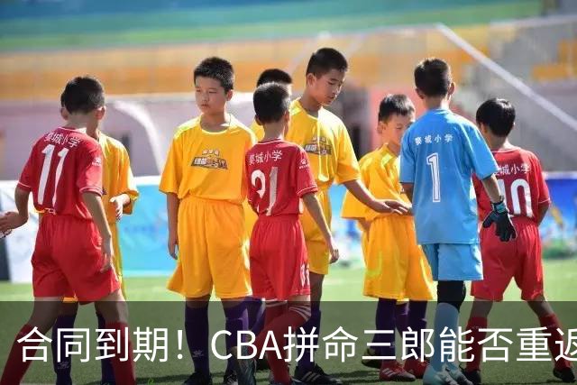 合同到期！CBA拼命三郎能否重返广东？期待辅佐徐杰、胡明轩